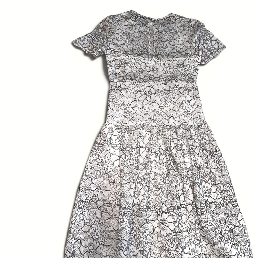Walter Baker Mila Drop Waist Floral Lace Midi Dress Small NWT Anthro Coquette - Picture 7 of 8